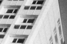 BW 2009-003.07crop.jpg