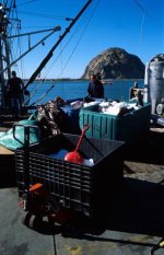 2019-01-17-0018 copy.jpg