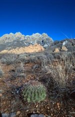 2019-01-17-0024 copy.jpg