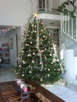 IMG00006-20101222-1437.jpg