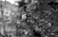 Untitled-Scanned-15.jpg