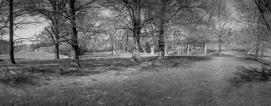 IMG_5629.jpg