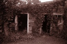 shed.jpg