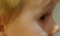 epson_eye.jpg