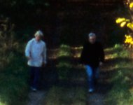 Heliar69_1_crop.jpg