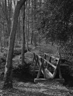 Woodland_bridge_scan0062.jpg
