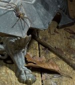 crop3.jpg