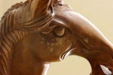 horse_1.jpg