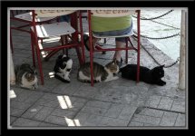 IMG_0356.jpg