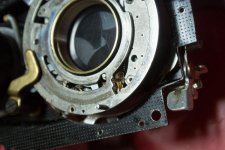 DSC_3602.jpg