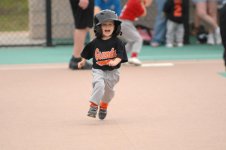 Hawk from 1st Base rff.jpg