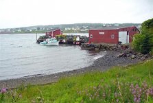 nova scotia 057 (Medium).jpg