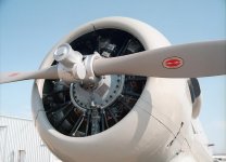 Ricoh 126C Flex 200 6 copy.jpg