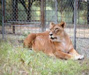 Ricohflex 126 200 ASA 2 copy.jpg