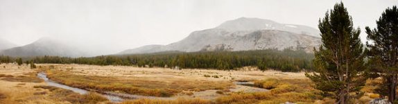 tuolumnepano.jpg