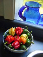 hot peppers.jpg