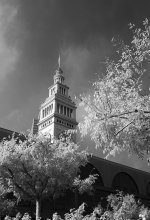 The Ferry Building.jpg