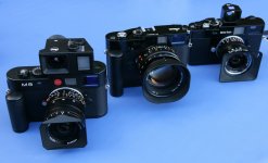 WW9B8078copy.JPG