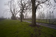 Old Barn In Fog Color.jpg