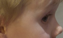 silky_eye.jpg