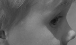 silky_eye_bw.jpg