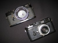 IMG_5264.jpg