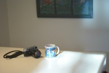 L1010010 First Test 1_6.jpg