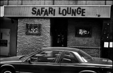 Safari.jpg