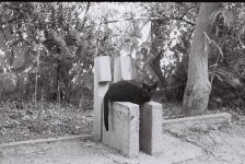 BlackCat_F1000036.jpg