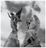 angels.jpg
