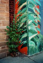 Green08.jpg