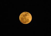 Super Moon Rising rff.jpg