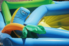 6-5-2006-19.gif