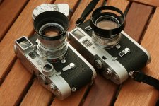 Summicrons-M4s.jpg