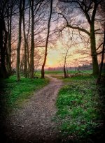 sunset-path.jpg