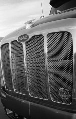 Nikon-S2-387-Grille.jpg