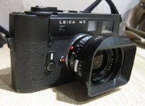 m5.jpg
