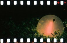 1maggio_Lumacanotte_pano.jpg