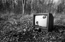 tv2.jpg