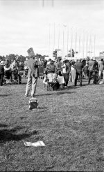 BW347_05.jpg