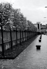 Avenue 2.jpg