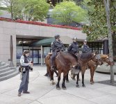 photog-and-horse-copsRFF.jpg