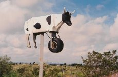 Rope-O-Matic (color).jpg