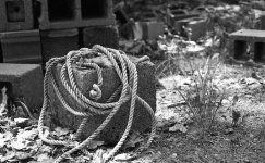 img037-3.jpg