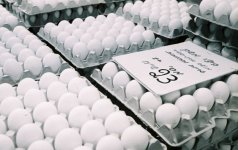 Eggs-2_F1000036.jpg