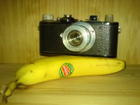 DSC00395.JPG