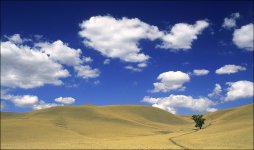 cloudsblueskyandgoldhillsweb800_.jpg