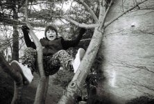 stuck-in-a-tree-jan07.jpg