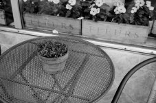 Les Fleurs de Bloomington 800x.jpg