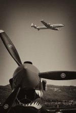 L1023778 (2).jpg
